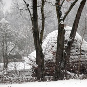 Obchody 160. rocznicy wybuchu powstania styczniowego w Muzeum Wsi Radomskiej 