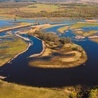 Meandry Biebrzy są domem wielu gatunków rzadkich ptaków.