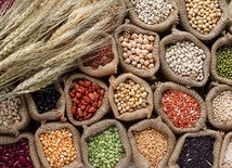 Ziarna zbóż to nie tylko owies, pszenica,  żyto czy jęczmień, ale i kukurydza,  ryż czy orkisz