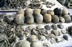 Znaleziono liczne kości ludzkie i 17 czaszek.
