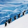 Co kryje się pod lodem Antarktydy?