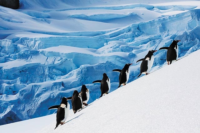 Co kryje się pod lodem Antarktydy?