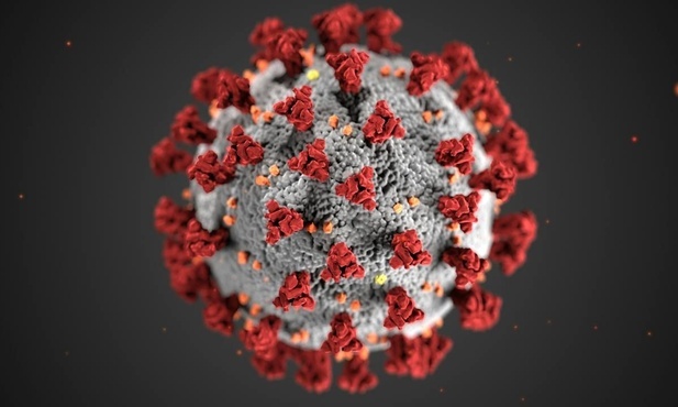 Co jeśli ten wirus wymknie się z laboratorium?
