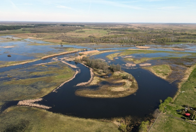 Piękne bagno