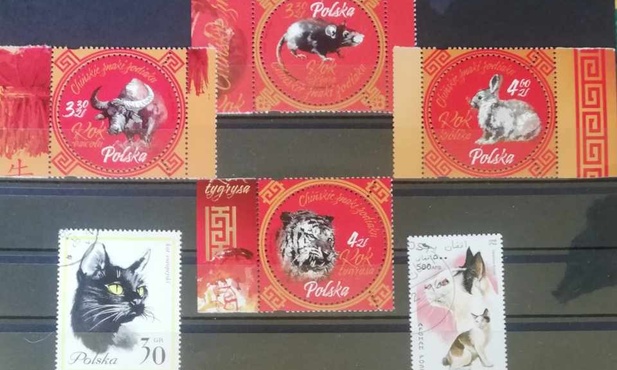 Kot Znaczek i chiński zodiaczek