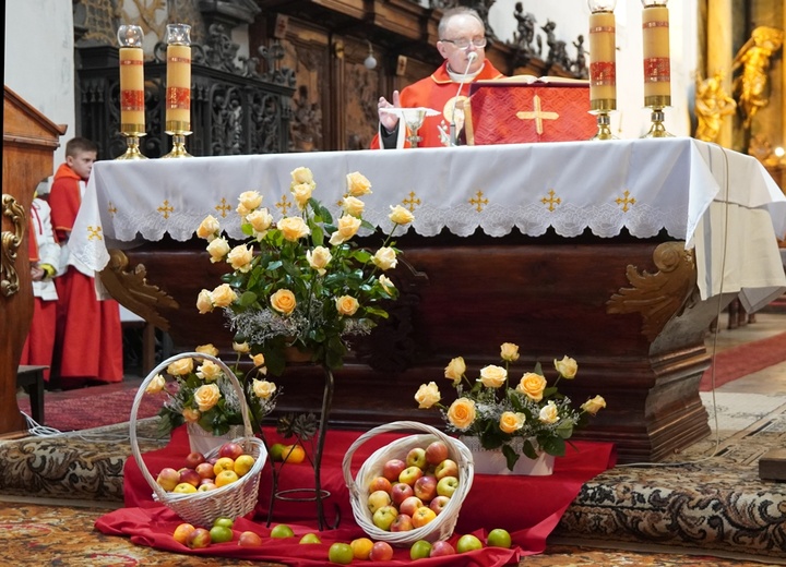 Odpust ku czci św. Doroty we Wrocławiu