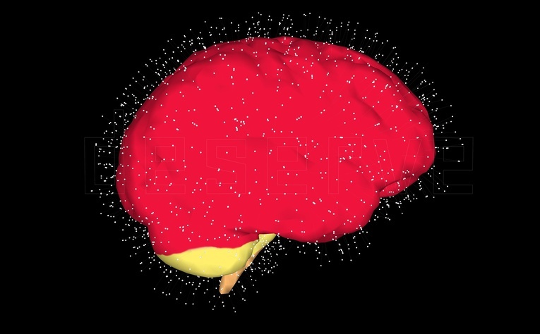 Naukowcy wydrukowali tkankę ludzkiego mózgu