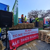 Katowice. Protest rolników w rejonie Urzędu Wojewódzkiego
