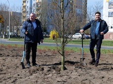 Stalowa Wola. Zielona rewolucja 