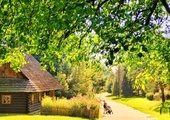 Chorzów. Muzeum "Górnośląski Park Etnograficzny"