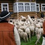 Święto Bacowskie w Ludźmierzu 