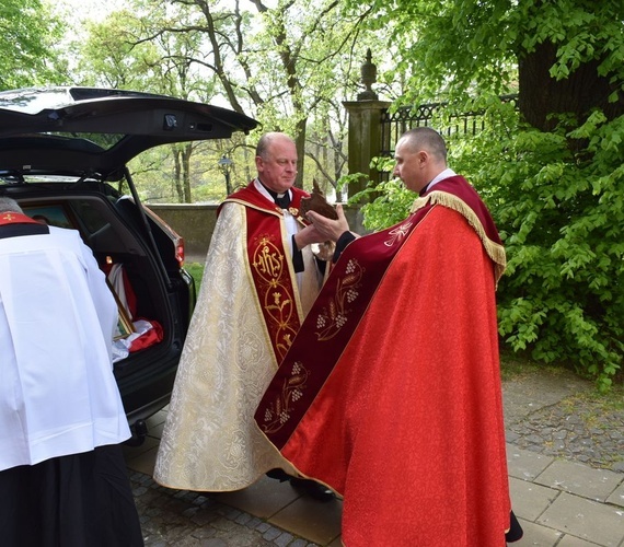 Relikwie bł. rodziny Ulmów w Sandomierzu