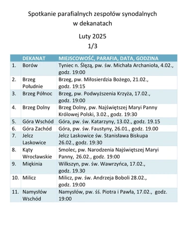 Synod Archidiecezji Wrocławskiej: przed nami dekanalne spotkania parafialnych zespołów