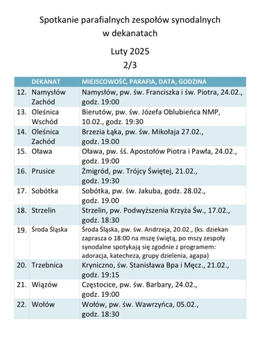 Synod Archidiecezji Wrocławskiej: przed nami dekanalne spotkania parafialnych zespołów