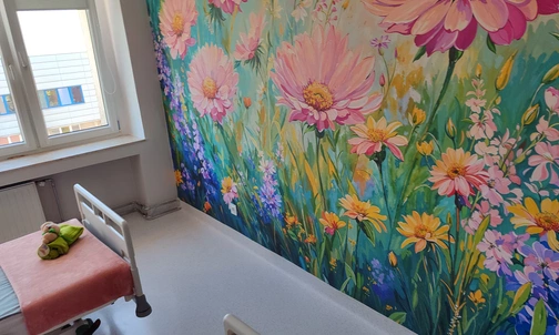 Fototapety na ścianach oddziału szpitala Miejskiego w Rudzie Śląskiej Ruda Śląska. Położnictwo odnowione. Szpital Miejski pokazał efekty