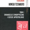 Teologia Nowego Testamentu tom I - Ewangelie synoptyczne i Dzieje Apostolskie