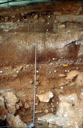 Znaleziono grot oszczepu sprzed 15 tysięcy lat