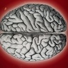 Innowacyjny system badania udarów mózgu nagrodzony w Brukseli