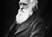 Nowość Darwinizmu
