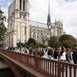 Katedra Notre Dame fot. Henryk Przondziono