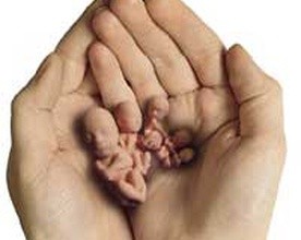 In vitro: zgroza pod płaszczykiem dobrodziejstwa