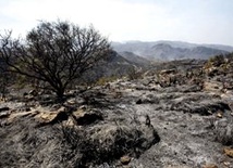 Hiszpania: Pierwszy duży pożar lasu tego lata