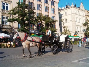 Kraków: Zakaz wjazdu dla dorożek?
