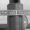 Zeszłoroczny projekt "powstańczy" grupy Twożywo