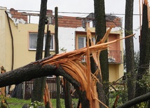Zniszczenia po huraganie
