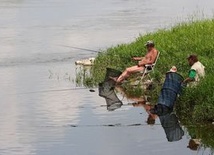 Naturalne rzeki korzystniejsze dla środowiska