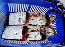 20 litrów krwi na św. Jacka