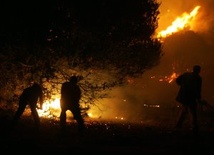 Grecja: świat pomaga gasić pożar lasów