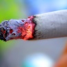 Bierne palenie źle wpływa na wyniki w nauce