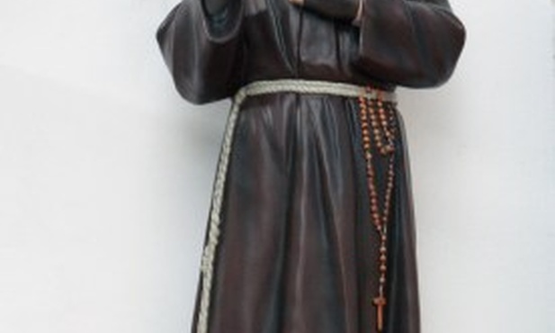 U świętego stygmatyka