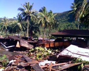 Do 113 wzrosła liczba ofiar tsunami