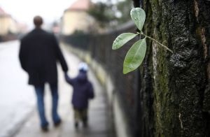 Francja: Testy na ojcostwo za granicą