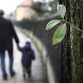 Francja: Testy na ojcostwo za granicą