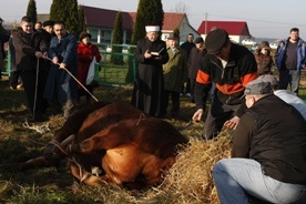 Święto Ofiarowania muzułmanów