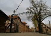 Rząd Belgii nie zawiesi finansowania Fundacji Auschwitz-Birkenau