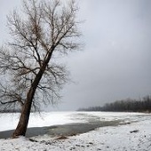 Podnosi się poziom wody