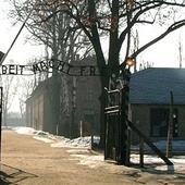 65 lat temu wyzwolono Auschwitz