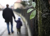 Ustawa o przemocy szkodzi rodzinie. Działajmy