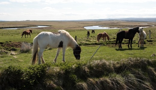 Islandia