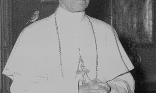Pius XII 