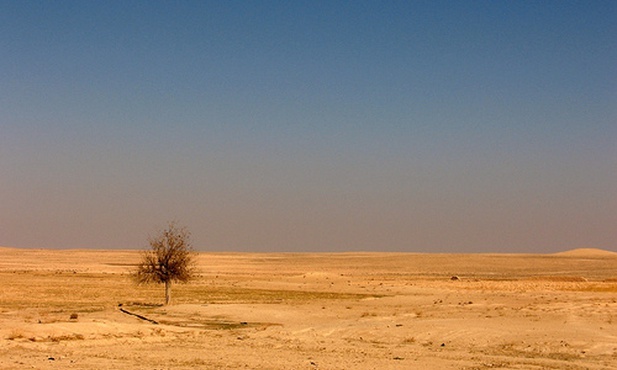 Neolityczne odkrycie w Syrii
