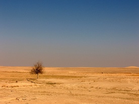 Neolityczne odkrycie w Syrii