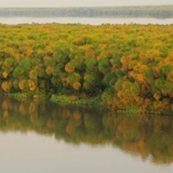 Sudan Południowy