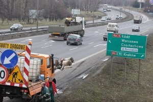 Postawili krzyżyk na zakopiance