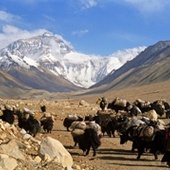 Posprzątają na Mount Everest