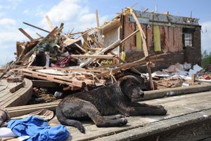 Tornado zabiło co najmniej siedem osób